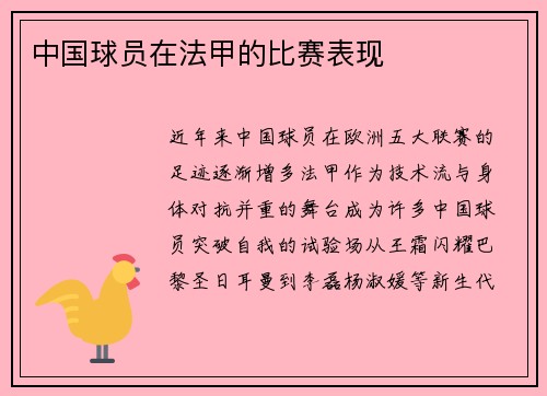 中国球员在法甲的比赛表现